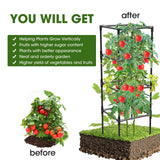 MQHUAYU 3 Pack Tomato Cages, Square Tomato Plant Stakes Support Cages Trellis for Garden Climbing Vegetables Flowers Fruits,Extra Bold,Black