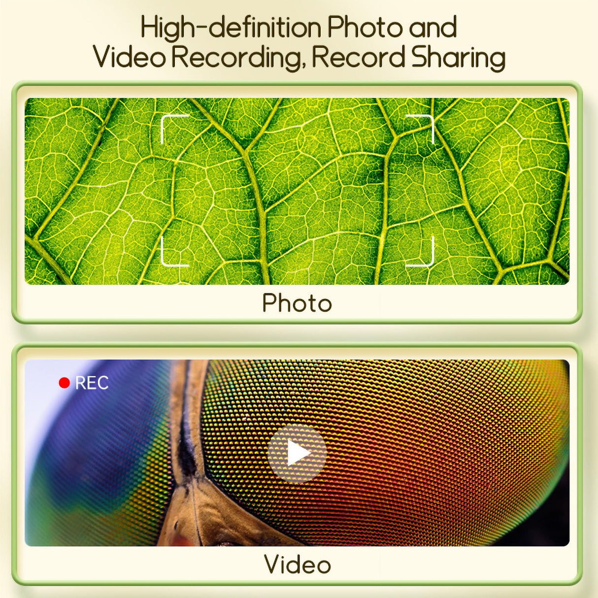 WINWEND Microscope for Kids - Portable Handheld Magnifying Glass for Girls | Mini Digital Microscope for Boys Educational Science Toys | Age 3 4 5 6 7 8 9 10 11 Years Old Kids Christmas Birthday Gifts