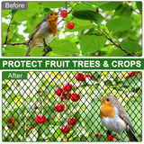 DQS Bird Netting 50' x 50', 2.4" Square Mesh Garden Netting, Poultry Net