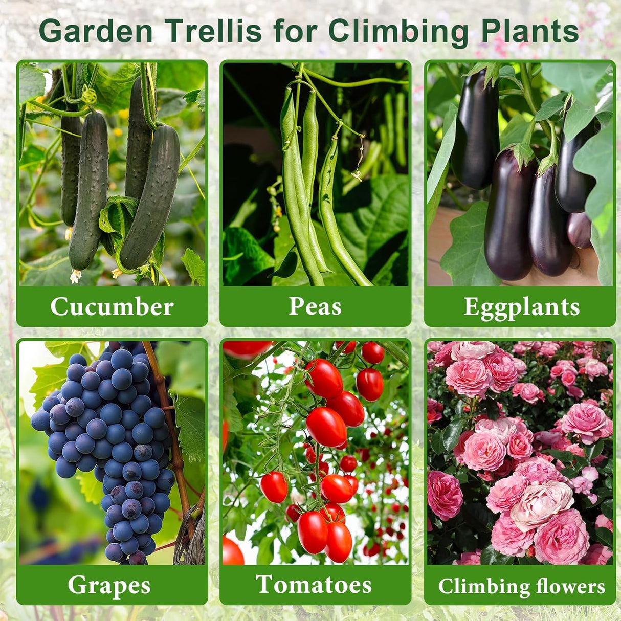 Garden Arch Trellis for Climbing Plants Outdoor, Garden Arch for Climbing Vine Vegetable/Fruit/Flower, Cucumber Trellis for Raised Bed (15.7x47in)