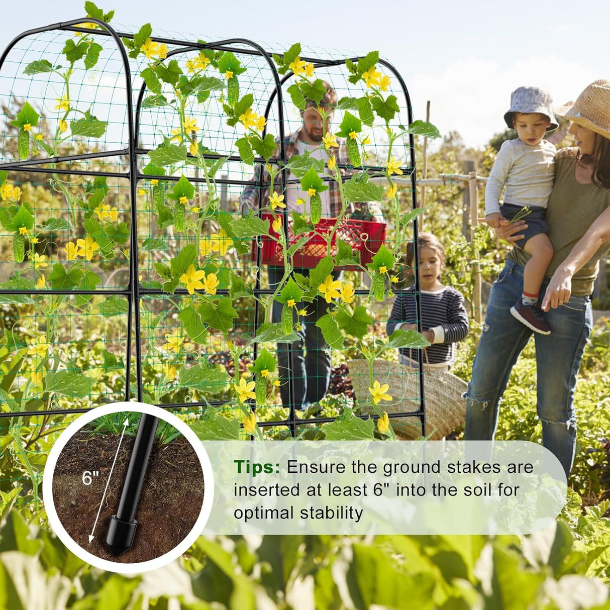 whiffee 7.3FT Cucumber Trellis for Raised Bed, Garden Arch Trellis with Net