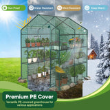 OLIXIS Outdoor Greenhouse, Walk-in Greenhouse with 2 Tier 8 Plant Shelves, Durable PVC Cover, 56"x56"x77" Portable Greenhouses for Outdoor Garden, Patio, Porch, Backyard Green Houses, Green