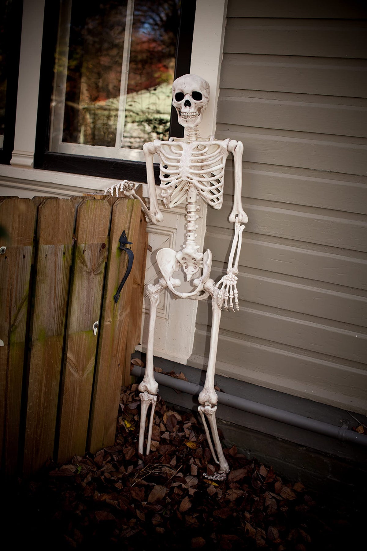 Crazy Bonez Original Pose-N-Stay Halloween Skeleton, 5 FT – Life-Size