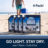 Cooler Shock 4-Pack Mid-Size 10x10 Reusable Ice Packs - Freezes to 18°F / -8°C - Long Lasting Freezer Packs for Coolers and Lunch Boxes - Camping, Fishing, Road Trips, Beach