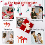 DASTOLL Stained Glass Window Hanging - Dragonfly Plant Suncatcher Ready to Hang Window Doors Home Decoration, Christmas, Mother's Day Birthday Gifts for Women, Men, and Mom 9.8x9.8 in