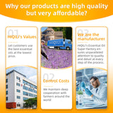 HIQILI 16 Fl Oz Orange Essential Oil, Pure and Natural for Diffuser, Skin - 500ML