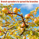 MorningRo 25 Pcs Fruit Trees Limb Spreader 10 Inch Tree Branch Puller Spreader with Plastic Hose Wrapped, Spreading Crotch Open Angles Branches Support Bending Tool for Shaping Seedlings Flowers