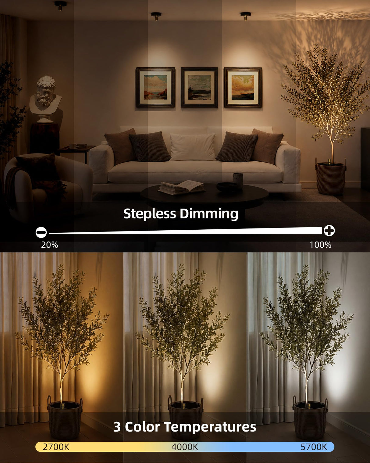 EZVALO Spotlight Indoor with Remote, 4000mAh Rechargeable Plant Spot Lights Indoor, Wireless Mini Uplights with Dimmable & 3-CCT, Timer, Accent Lighting for Pictures, Artwork, Displays (2-Pack)