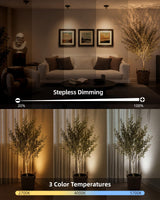 EZVALO Spotlight Indoor with Remote, 4000mAh Rechargeable Plant Spot Lights Indoor, Wireless Mini Uplights with Dimmable & 3-CCT, Timer, Accent Lighting for Pictures, Artwork, Displays (2-Pack)