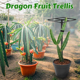 Gavinjitao Metal Dragon Fruit Trellis 61",Adjustable Dragon Fruit Plant