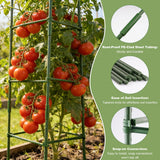 6-Pack 48'' (4ft) Tomato Cages & Trellis – Outdoor Garden Adjustable Plant Support & Stakes for Home Gardeners, Raised Garden Beds & Patio, Supports Climbing Tomatoes, Vegetables & Flowers