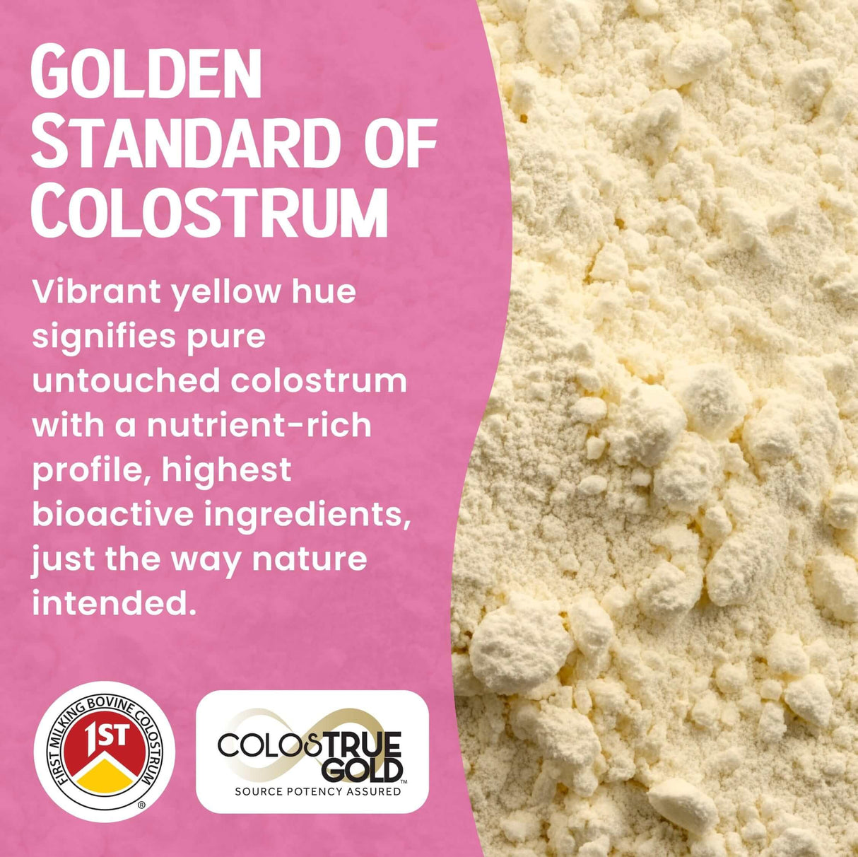 SonoHealth Cowabunga Colostrum - Premium, Pure & Unaltered Colostrum Powder Supplement - for Immune Support, Gut Health, Muscle Recovery & Wellness - Kosher & Halal Certified Calostro