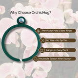 OrchidHug Universal Orchid Mounting Ring – Open Adjustable Design Fits All Orchid Sizes | Mount Orchids on Trees or Walls | Flexible Green Coated Steel with Stainless Screws | Easy Install | 4 Pack