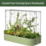 Vego Garden 8.0ft Long Tomato Metal Frame Trellis, Garden Trellis for Climbing Plants Like Cucumber Beans Tomatoes & Vines, (Garden Beds Not Included)