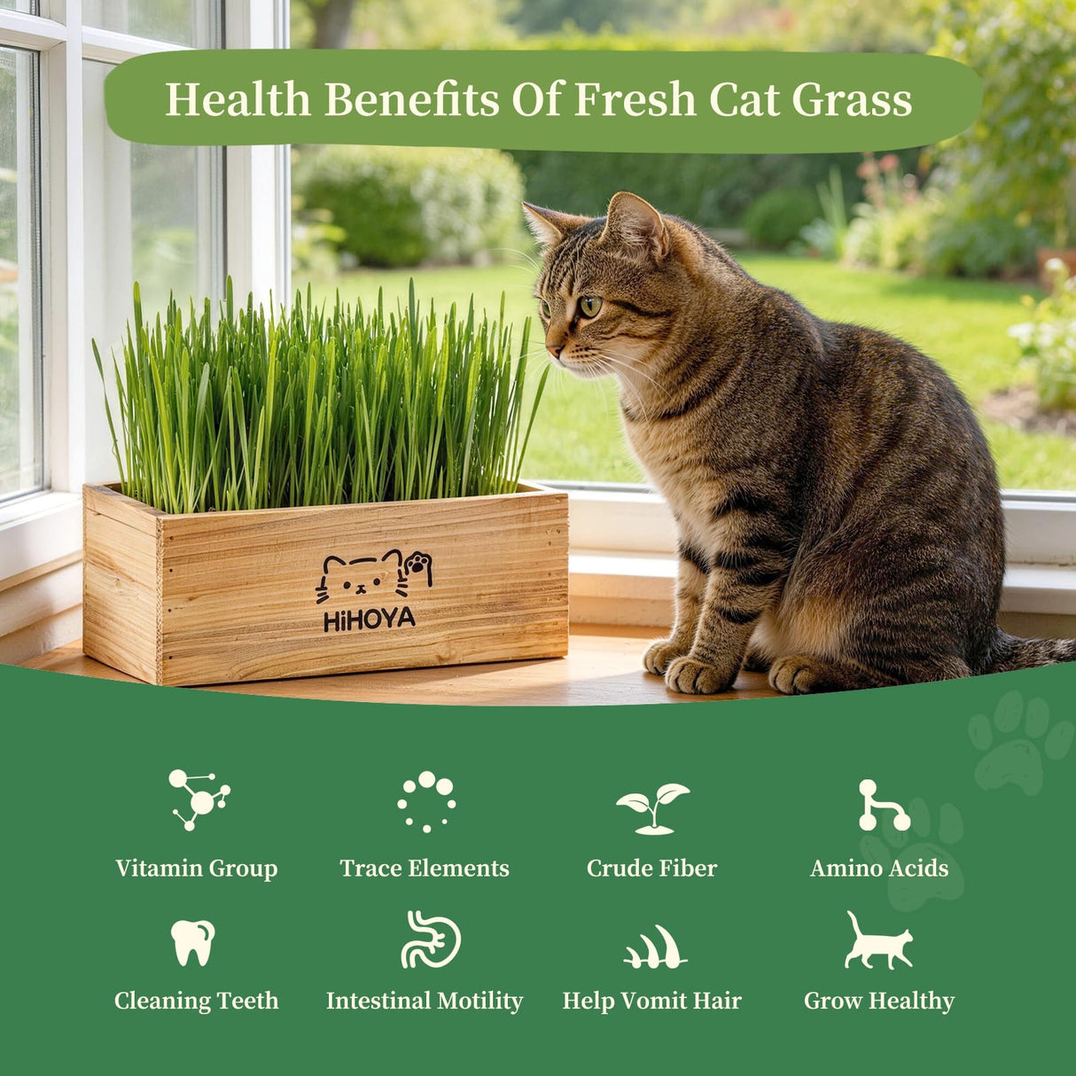 HiHOYA Cat Grass Kit for Indoor Cats - 5 Packets of Seeds, Cat Grass Planter Wooden Growing Kit, 5-Time Plant Starter Pack with 6 Soil Discs, Trimming Scissors, Spray Bottle, and Mini Tools