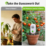 RAINPOINT Smart Soil Moisture Meter,Visual Gauge, Optional WiFi Hub for App