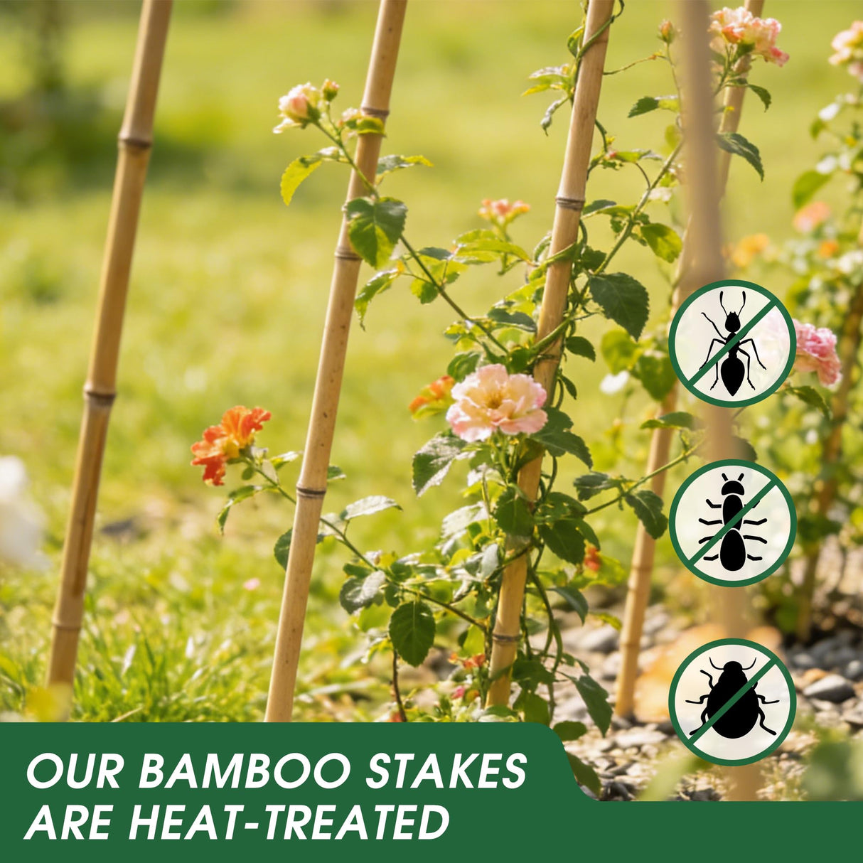 65 Pcs Bamboo Plant Stakes 5 Feet, Oltara Natural Bamboo Sticks Garden Stakes for Climbing Plants Support, Potted Plants, Vegetables, Tomatoes, Beans, Flowers, Trees