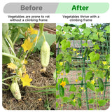 Cucumber Trellis for Raised Bed, U-Shape Garden Trellis for Climbing Plants Outdoor, Metal Arch Trellis for Vegetables, Plant Support for Tomato, Pea, Zucchini(63" L×30" W×47.2" H-Large)