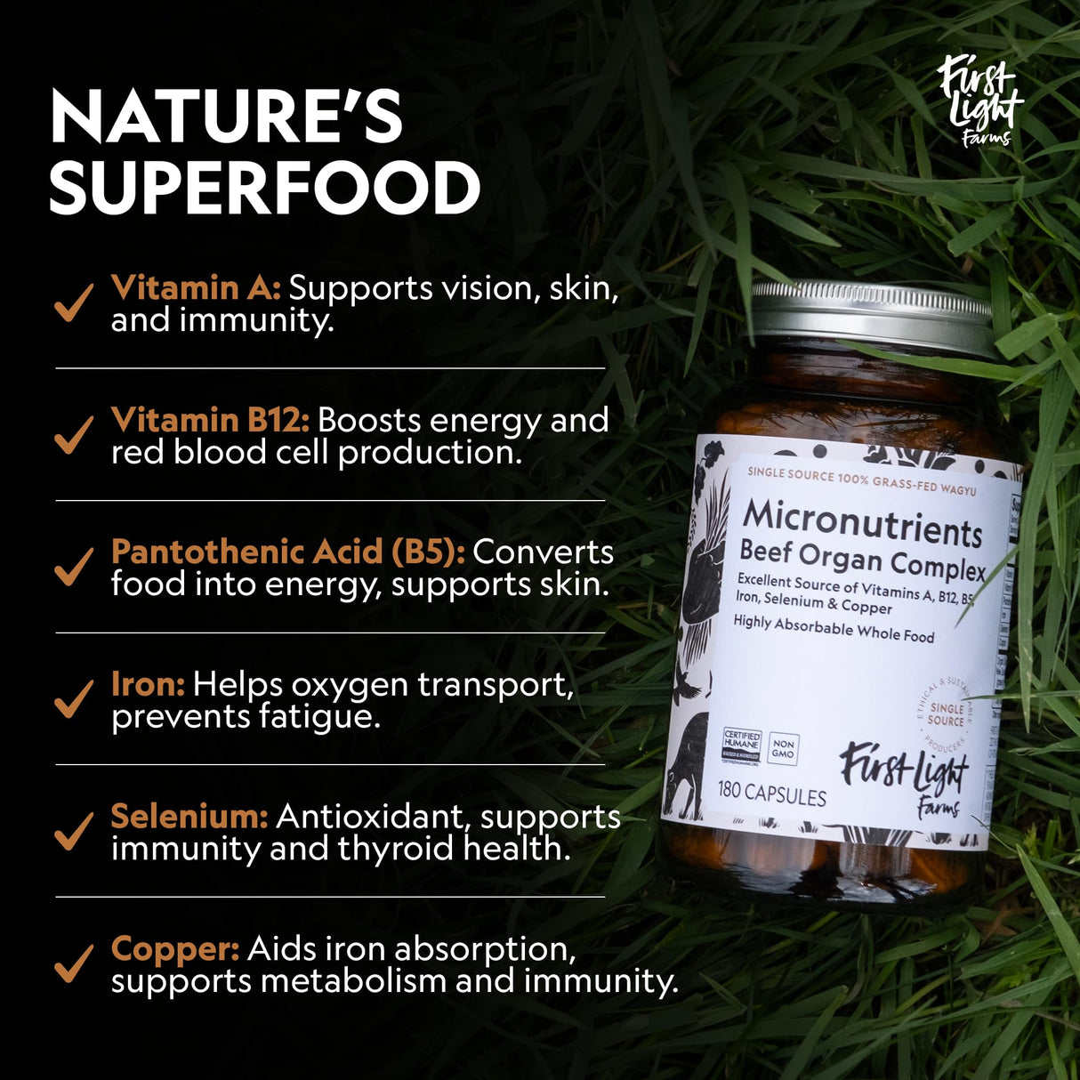 First Light Farms Freeze-Dried Wagyu Beef Organ Supplement Grass-Fed | 180 Capsules | Whole Food Nutrition with Liver, Heart, Kidney & Spleen | Beef Organ Complex, Certified Humane