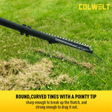 Colwelt Thatch Rake, Dethatcher Rake with Thin, Curved Spring Steel Tines, Dethatching Thatching Rake for Lawns with 61’’ Steel Handle, Lawn Tine Rakes for Pine Needles, Dead Grass, Garden Debris