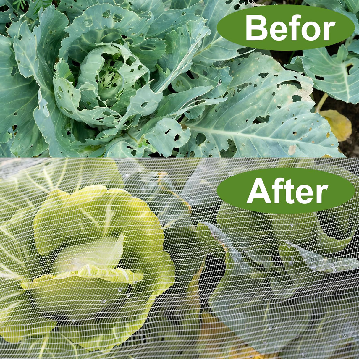 2 Pack Garden Netting for 4×2 FT Raised Beds, Fine Mesh Insect & Bird Barrier with Drawstring, Garden Bed Cover for Vegetables, Flowers & Herbs