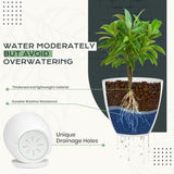 Utopia Home - Plant Pots Indoor with Drainage - 7/6.6/6/5.3/4.8 Inches Flower Pots for Indoor Planter - 10 Pack Plastic Planters - Ideal for Stocking Stuffers or Home Christmas Decorations - White