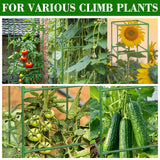 ZeeDix 6 Pack 60 Inch Heavy Duty Tomato Cages for Garden with Clips