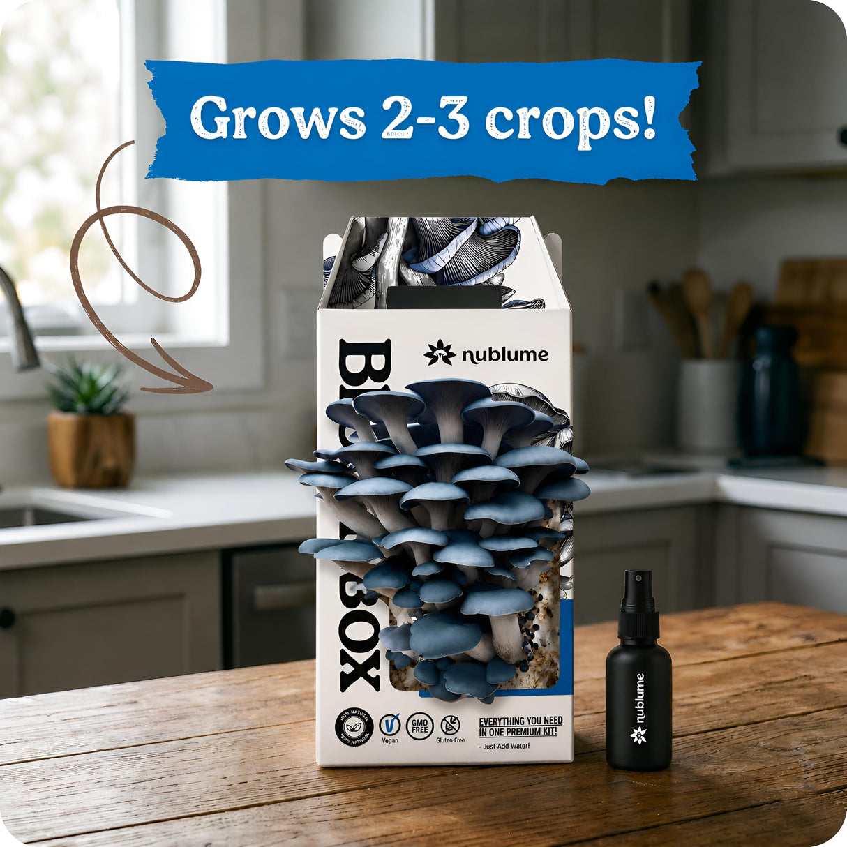 BloomBox Blue Oyster Mushroom Grow Kit – Spray & Grow – Pre-Inoculated Indoor Mushroom Farm – Beginner Friendly – Harvest Fresh Gourmet Mushrooms in Days – Perfect Gift