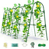 Laodier Cucumber Trellis for Raised Bed, U-Shape Garden Arch Metal Support for Climbing Plants, Metal Arch Plant Support Vegetables Trellis, Plant Support for Vine(Green, 63 * 30 * 47inch(L*W*H))