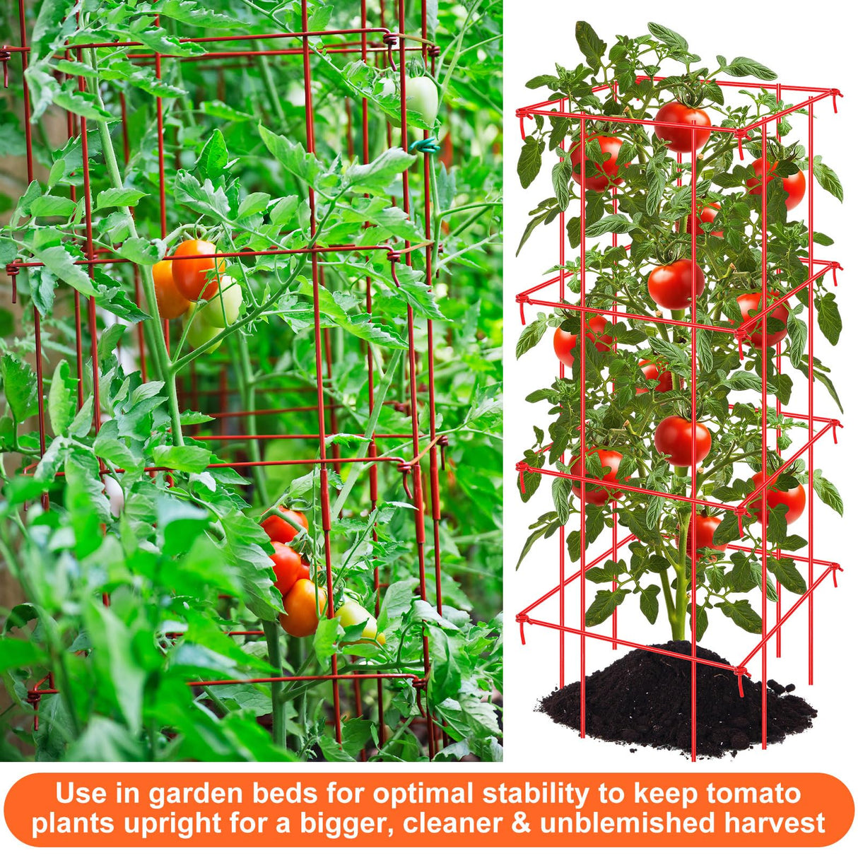 Colingmill 8 Pack Tomato Cages 39 Inch (H) Heavy Duty Square Tomato Cages Powder Coated Steel Plants Support Garden Trellis Stakes for Cucumber, Peas, Vegetables Climbing Plants