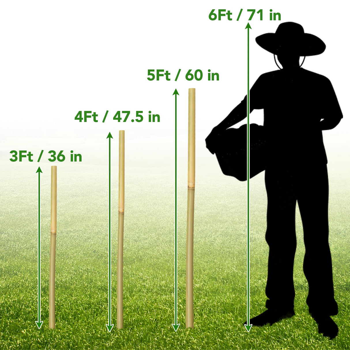 Taoskai 60Pcs Bamboo Stakes for Plant 4 Feet, Garden Bamboo Plant Stakes for Plants Support, Bamboo Sticks for Climbing Plants, Tomatoes, Sunflowers, Beans, Potted Plants, Trees