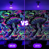 TigQiang 6 Pack Black Light Bulbs, Blacklight Bulb 120W Equivalent, E26 BR30 LED Black Light Bulb 385-400nm for Halloween Christmas Decorations, Body Paint, Glow in The Dark Party, Fluorescent Poster