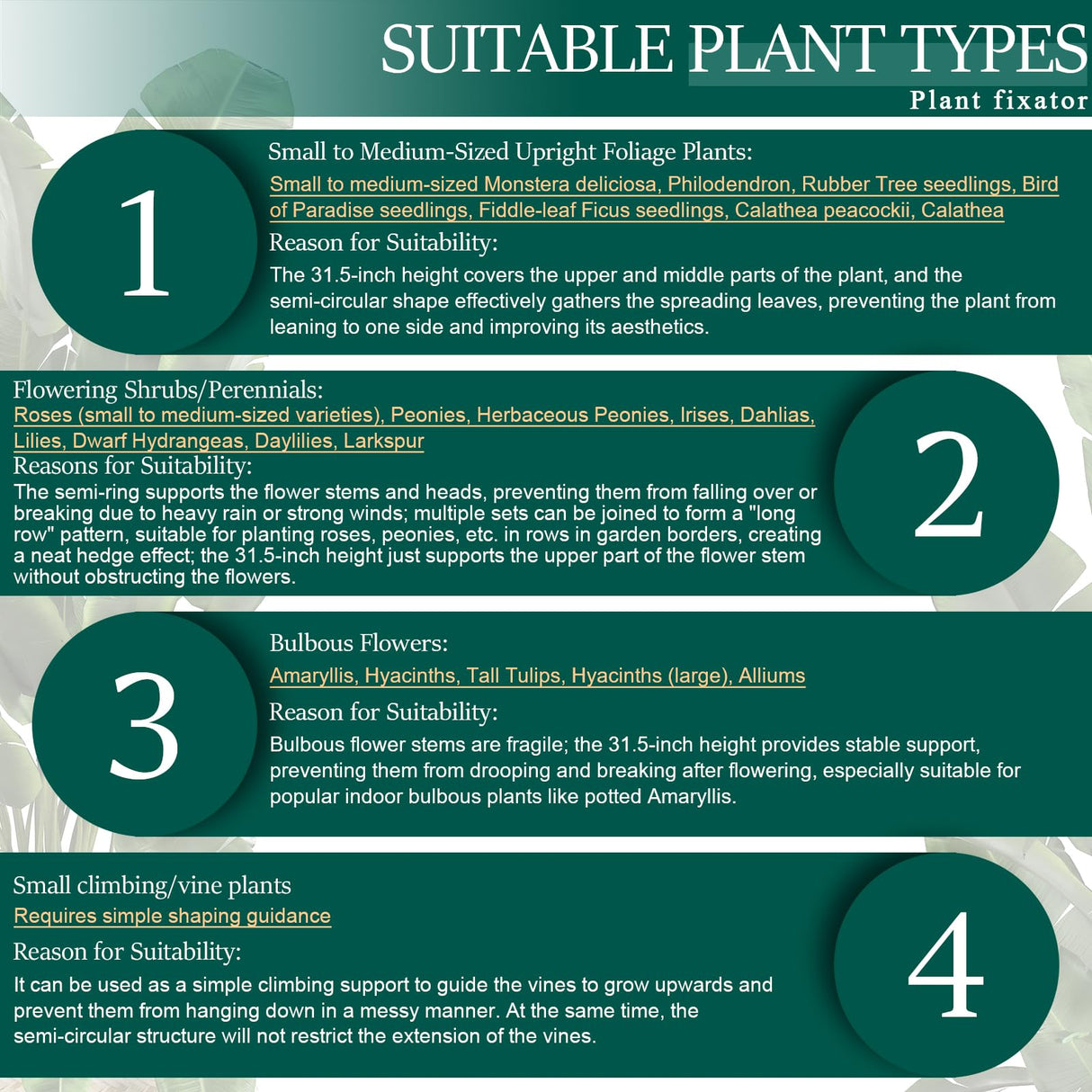 6-Pack 31.5” Plant Support Stakes, Steel Plant Cage & Peony Tomato Hydrangea Cage, Garden Stakes for Outdoor Plants, Heavy-Duty Plant Stakes, 16.7” Support + 14.8” Extension Tubes