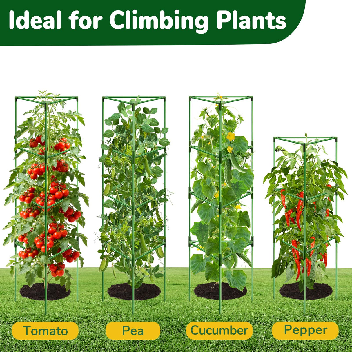 ZeeDix 65 Inch 4 Pack Heavy Duty Tall Tomato Cages for Garden
