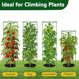 ZeeDix 65 Inch 4 Pack Heavy Duty Tall Tomato Cages for Garden