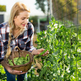 DOEWORKS 48" Cucumber Trellis, 2-Pack, Foldable, for Cucumbers, Beans, Tomatoes, Flowers