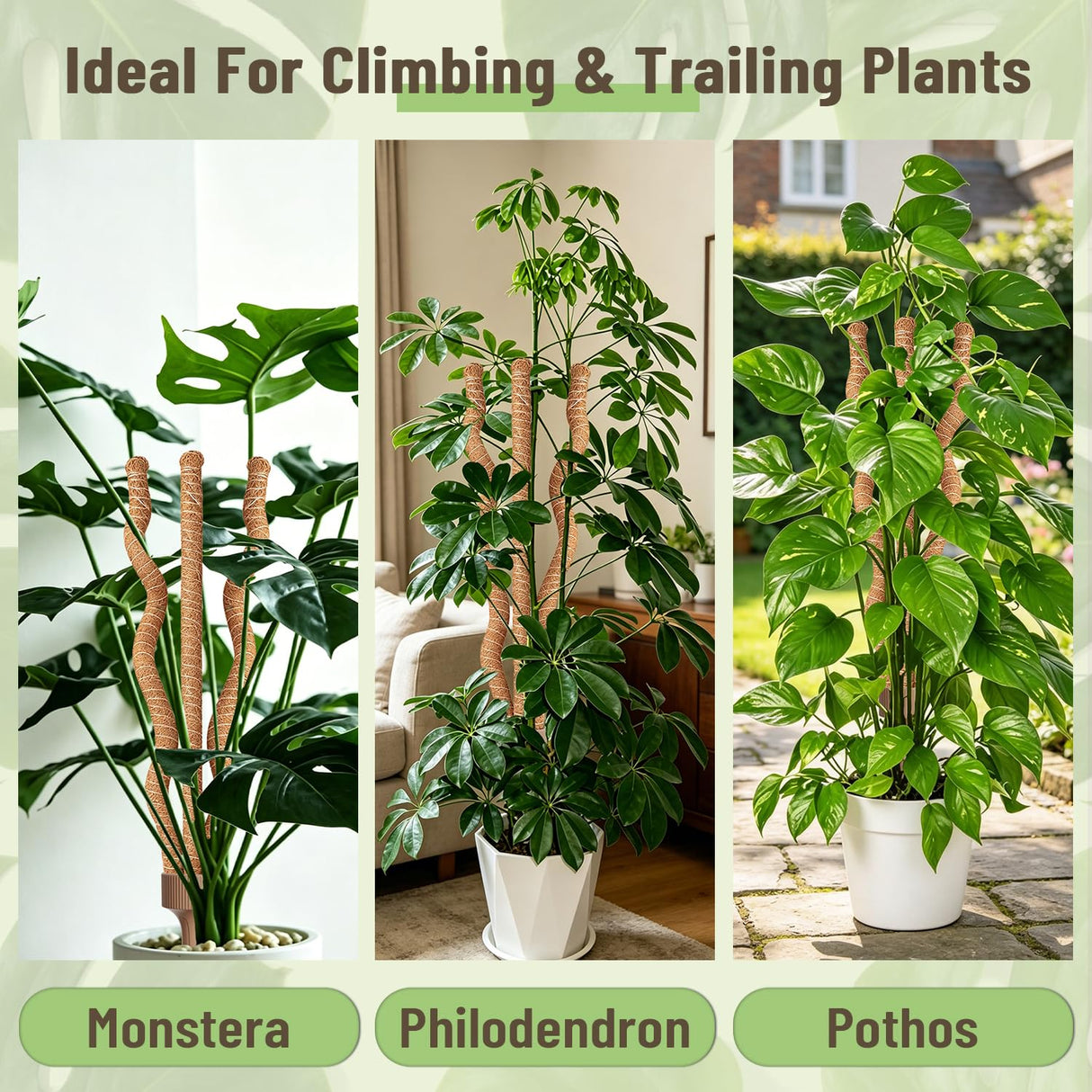 3-in-1 Moss Pole, Bendable 30IN Monstera Plant Support for Indoor-2 Pack