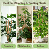 3-in-1 Moss Pole, Bendable 30IN Monstera Plant Support for Indoor-2 Pack