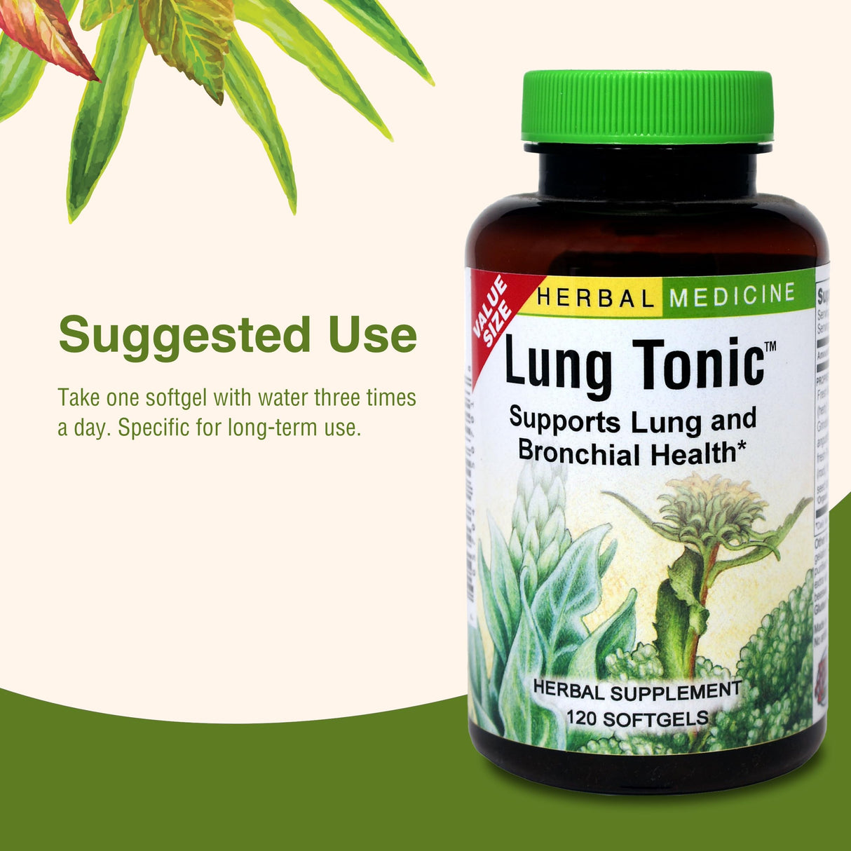 Herbs Etc. Lung Tonic - Lung Supplement for Bronchial Support - Healthy Breathing Support with Mullein, Horehound & Grindelia - 120 Softgels