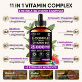 Venture Pal Vitamin B Complex Liquid Drops, B12 Methylcobalamin | B9 Folic | B1,B2,B3,B5,B6,B16 - Vitamin C, Choline, Inositol, Immune & Energy Metabolism, Brain & Heart Support