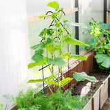 ARIFARO 4 Pack 40" Metal Garden Trellis for Climbing Plants Outdoor