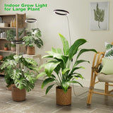 10" Grow Lights for Large Indoor Plants, Full Spectrum Indoor Plant Light for Indoor Growing with Timer,Height Adjustable Auto On/Off 3/9/12H, 9 Brightness,Led Tall Halo Grow Light for House Plants