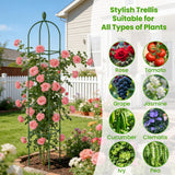 2 Pack Garden Obelisk Trellis for Climbing Plants, 71" Rustproof Metal Tower Plant Support Cages, Rose Trellis for Tomato Potted Flowers Vegetables Vines, Indoor Outdoor Garden Patio