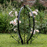 HEYTIMI 2 PCS Metal Garden Round Trellis for Climbing Plants, Large Black Powder Coated Obelisk for Roses, Vines, Flowers, Patio Doorway Garden Decor Indoor Outdoor, Easy Assembly (25.2" x 21.3")