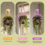 Lazukes 2 Pack Hanging Plant Grow Lights for Indoor Plants with Timer, Wall Mounted Full Spectrum Pendant Growing Light with Macrame Plant Hanger, Ceiling LED Planta Luz for Potted Plants Home Decor