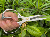 Horsvill Indoor Plant Shears Garden Scissors, Flower Pruners Made of Japan SK5 Stainless Steel, Flowers Herbs and Plant Cutters, Clippers, Trimmers, Loppers, Bonsai Potted Plant Pruning Scissors