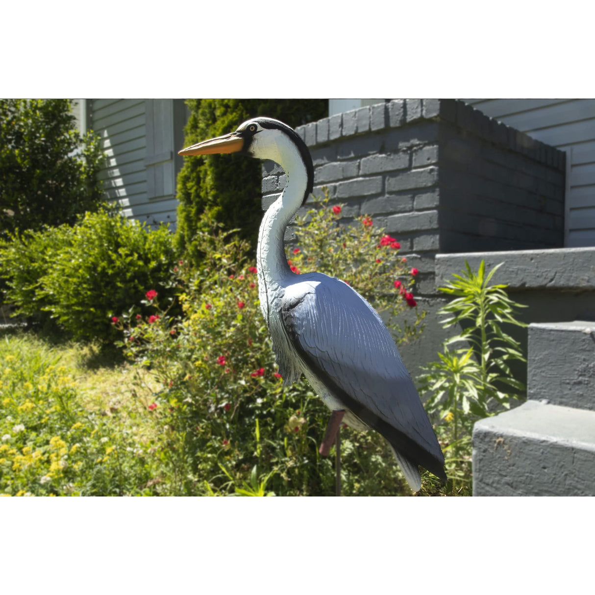 Higdon Outdoors Blue Heron Confidence Decoy for Waterfowl and Ornamental Water Garden, Pond and Landscape Decoration Plus Pest Deterrent