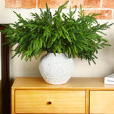 Jutom 12 Pcs 18 Inch Christmas Norfolk Pine Branches, Lifelike Bendable Non-Shedding Greenery Stems Faux Pine Picks for Christmas Mantel Centerpiece Garland Wreath and Holiday Decor