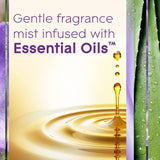 Glade Automatic Spray Refill, Air Freshener for Home and Bathroom, Tranquil Lavender & Aloe, 6.2 Oz, 3 Count