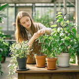 IA Garden Trellis for Climbing Plants Indoor,4 Pack Stackable Garden Trellis for Potted Plant Support, 15.7 Inch Small Houseplant Metal Wire Trellis for Vine Ivy Rose Plant Trellis (Black)